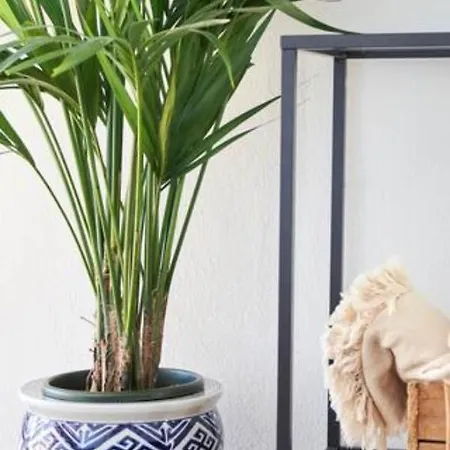 Trie Vineyard Casa vacanze *