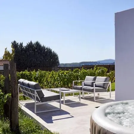 Trie Vineyard Holiday home *