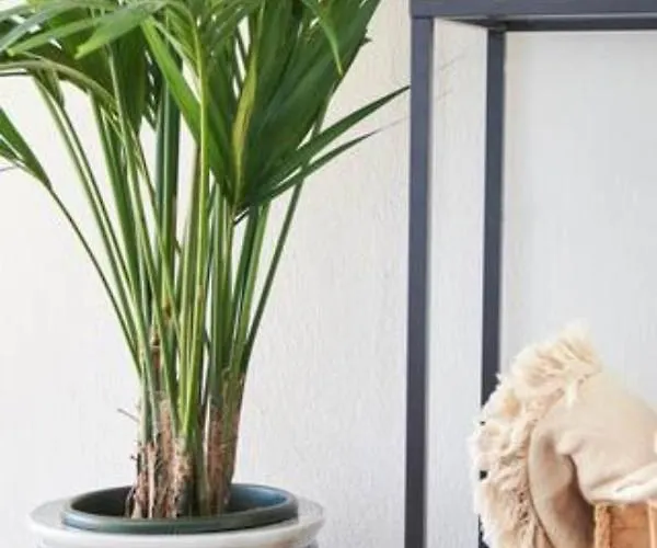 Trie Vineyard Holiday home *