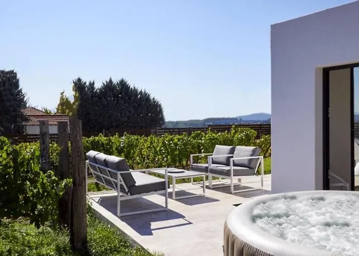 Trie Vineyard Holiday home *