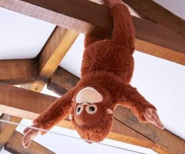 Trie Vineyard Grevena